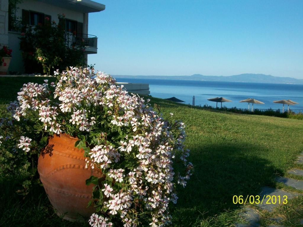 Aegean Blue Studios Афитос Екстериор снимка